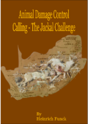 EBook English