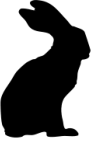 Kolhaas Ore 2